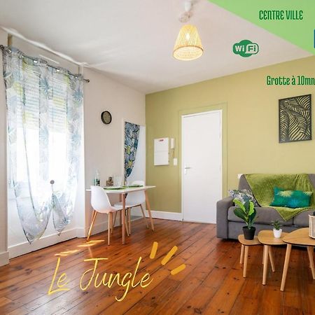 Le Jungle--Hyper Centre--Tout Confort--Wifi Lourdes Bagian luar foto