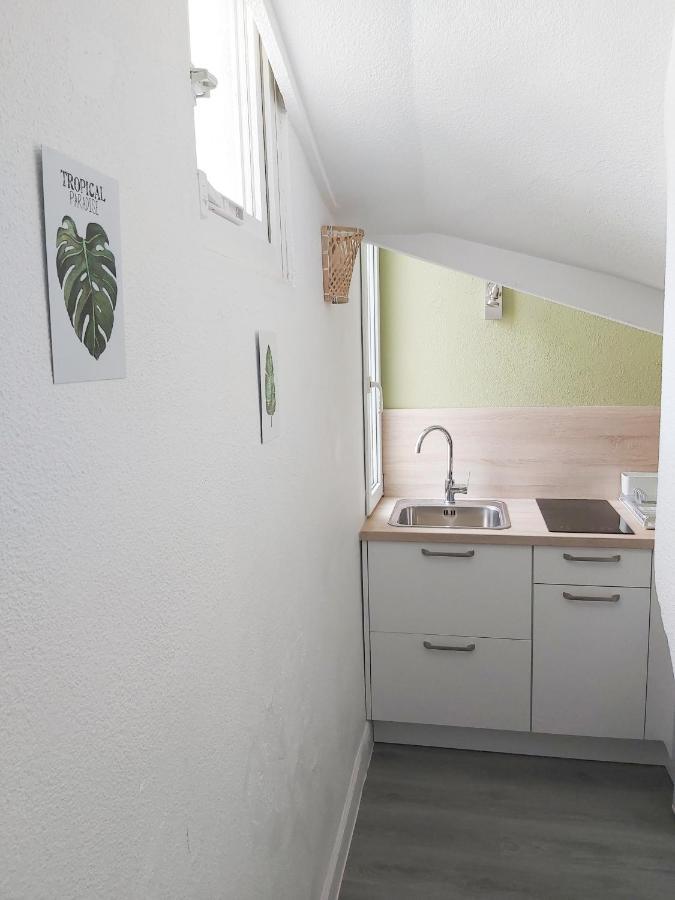 Le Jungle--Hyper Centre--Tout Confort--Wifi Lourdes Bagian luar foto